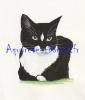 Chat noir et blanc R.jpg